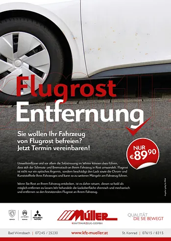 Flugrost Entfernung